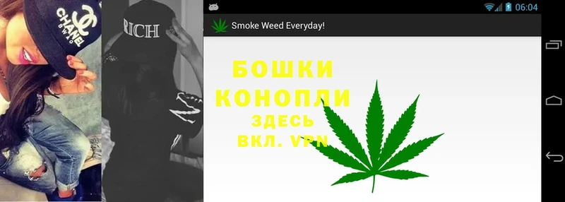 Бошки марихуана SATIVA & INDICA  Олонец 